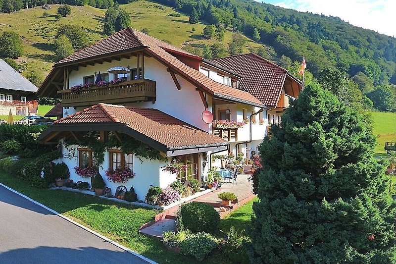Esterno casa vacanze (estate)