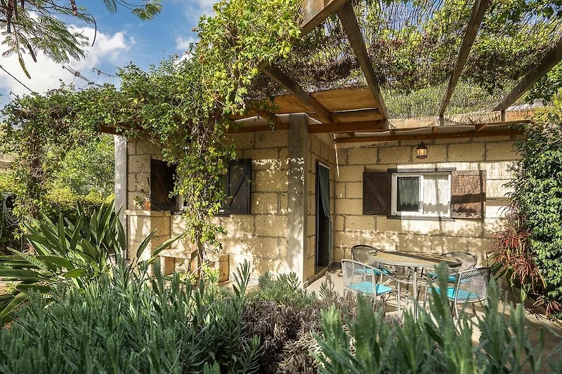 Esterno casa vacanze (estate)