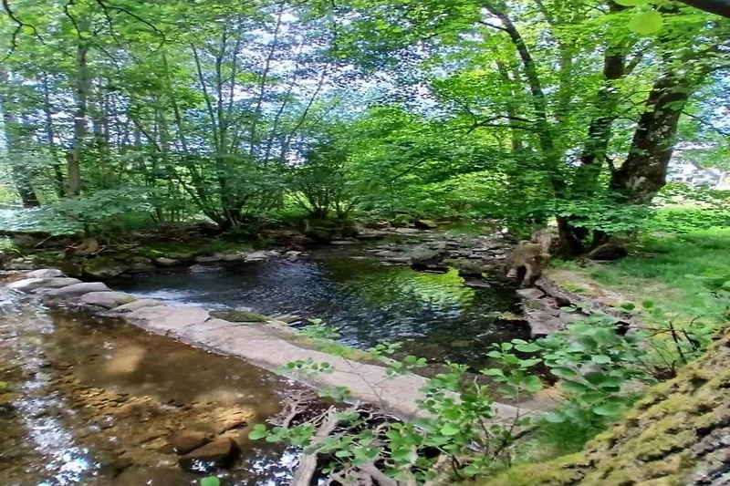 In der Region (Sommer) (>5 km)