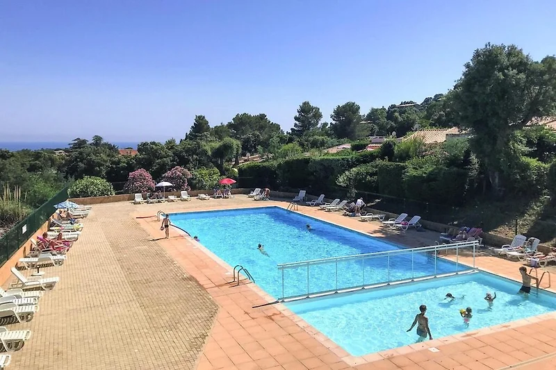 Directe omgeving (zomer) (<1 km)