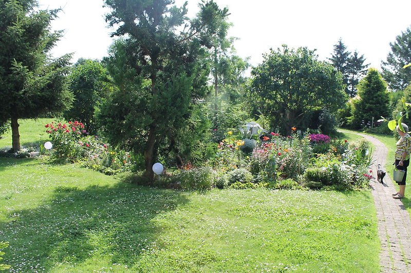 Garden (summer)