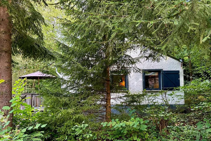 Außenseite Ferienhaus (Sommer)
