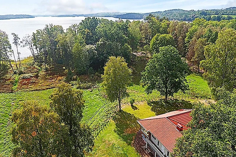 Esterno