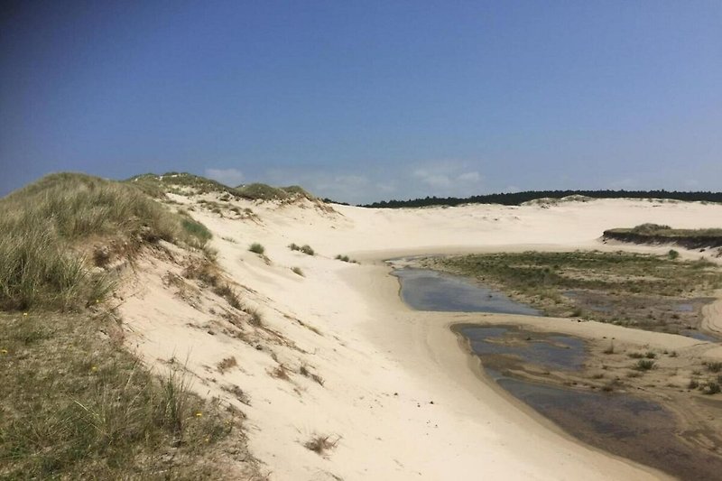 In der Region (Sommer) (>5 km)