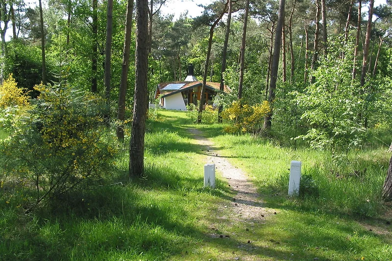 In prossimitá (estate) (<1 km)