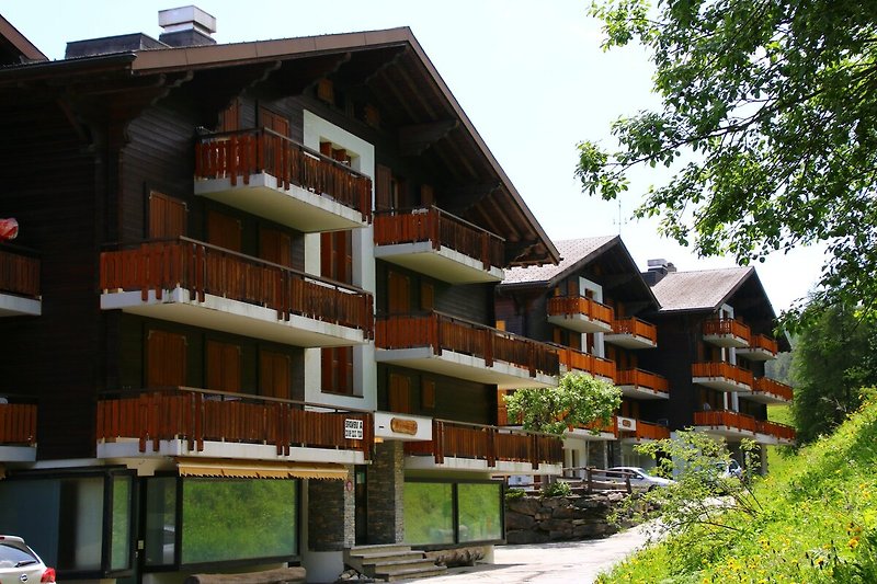 Außenseite Ferienhaus (Sommer)