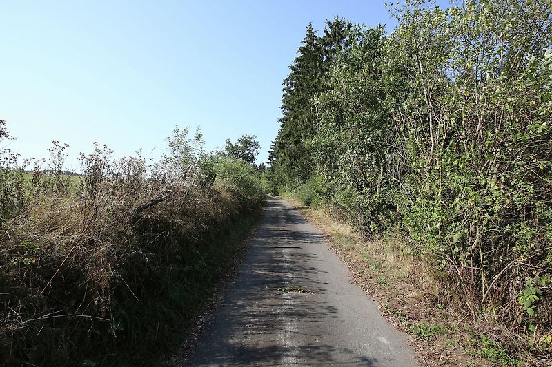 Umgebung (Sommer) (1-5 km)
