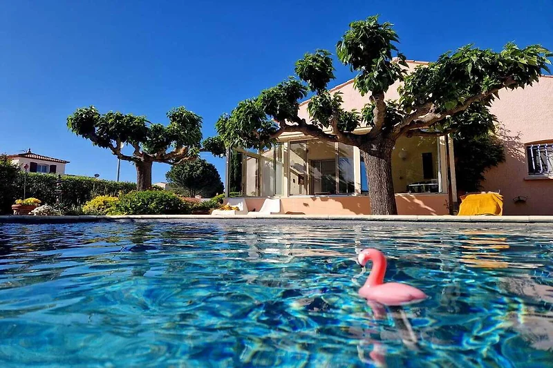 Exterieur vakantiehuis (zomer)