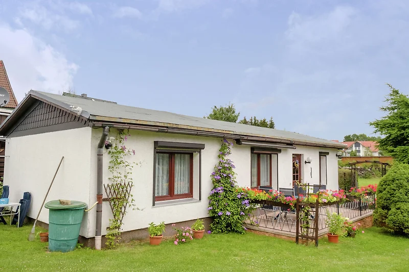 Außenseite Ferienhaus (Sommer)