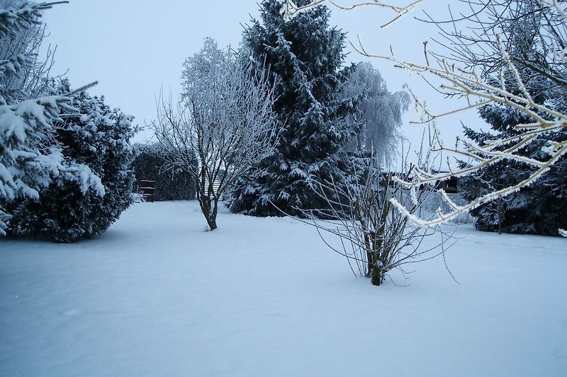 Garten (winter)