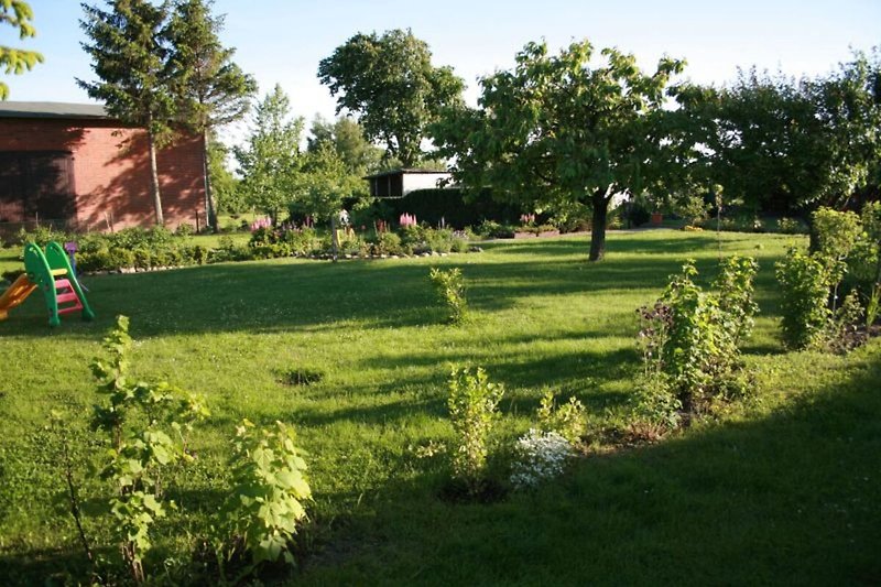 Garden (summer)