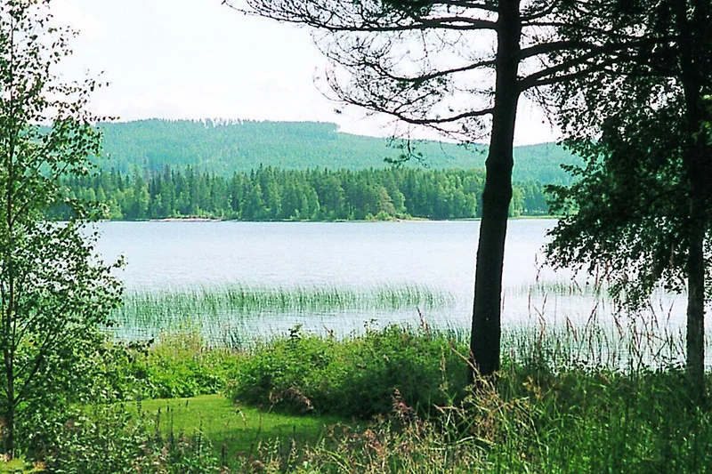 Uitzicht
