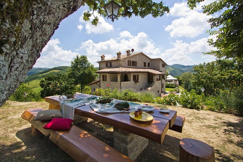 Terras / Balkon