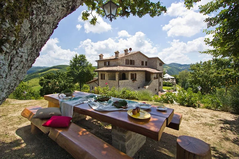 Terras / Balkon