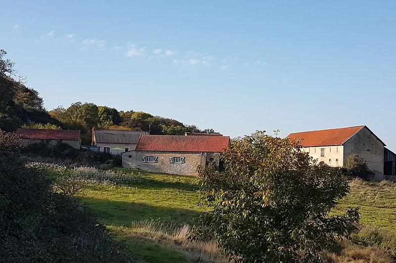 Außenseite Ferienhaus (Sommer)