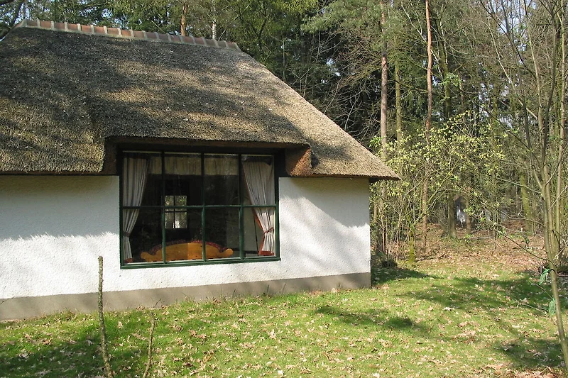 Exterior casa de vacaciones (verano)
