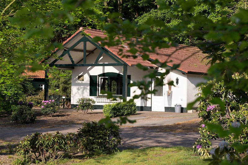 Außenseite Ferienhaus (Sommer)