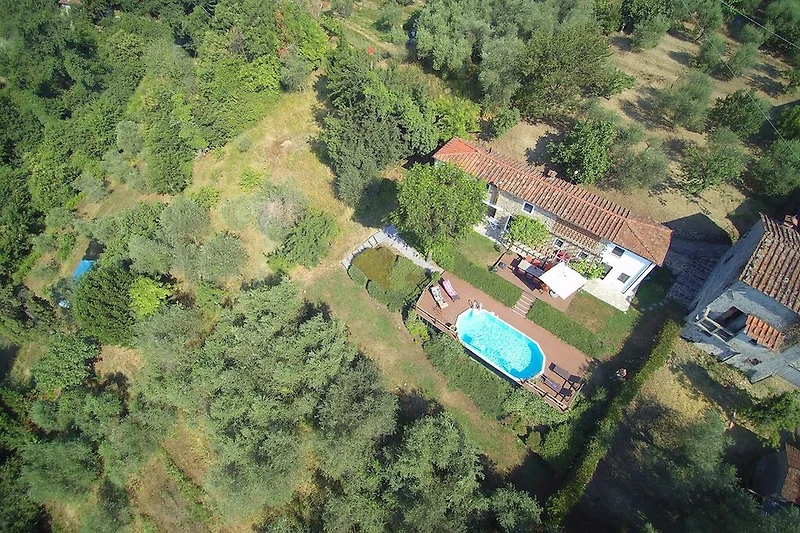Exterieur vakantiehuis (zomer)