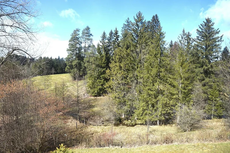 In prossimitá (estate) (<1 km)