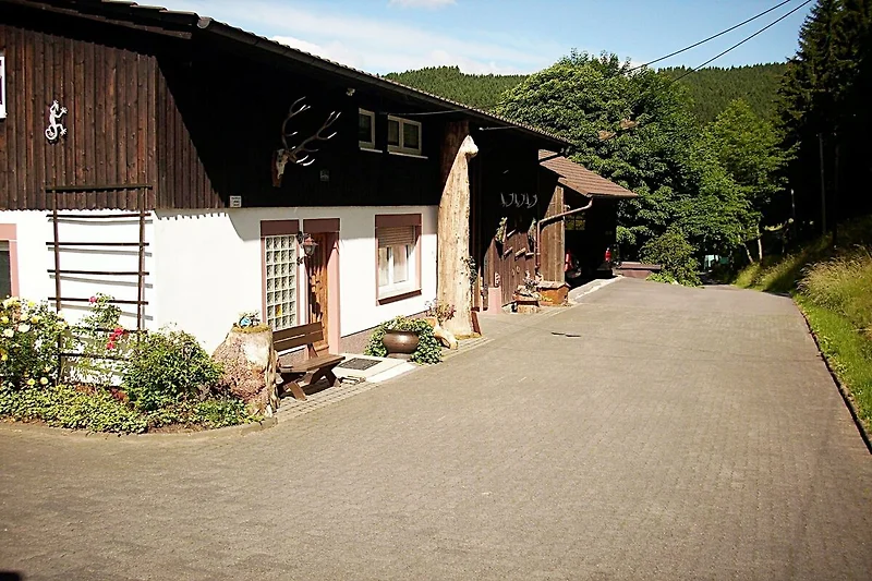 Außenseite Ferienhaus (Sommer)