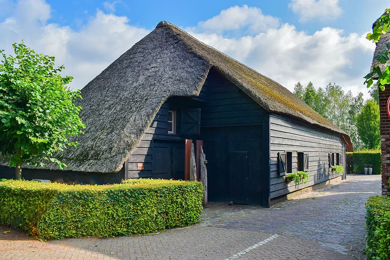 Außenseite Ferienhaus (Sommer)