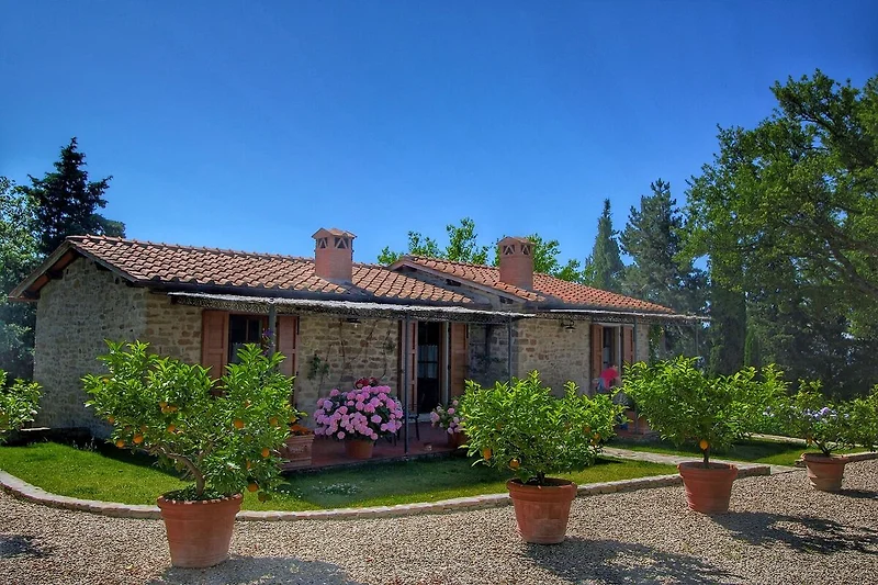 Exterieur vakantiehuis (zomer)