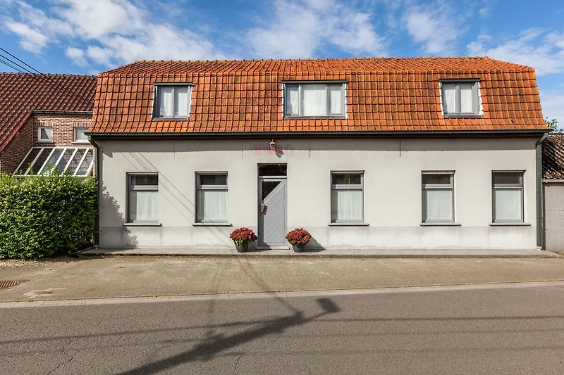 Exterieur vakantiehuis (zomer)