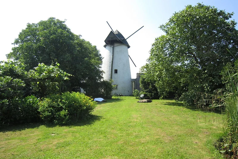 Esterno casa vacanze (estate)