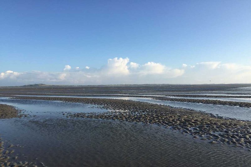 Omgeving (zomer) (1-5 km)