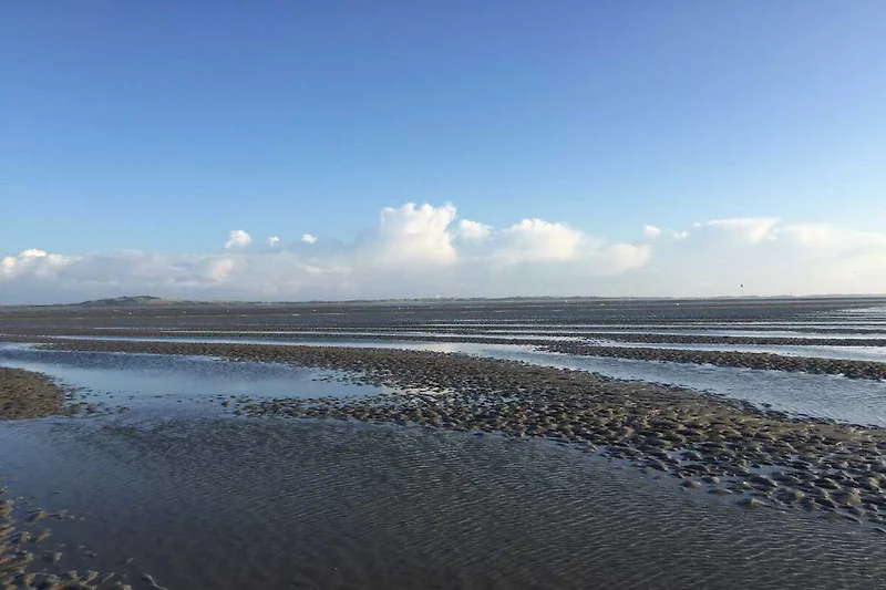 Omgeving (zomer) (1-5 km)