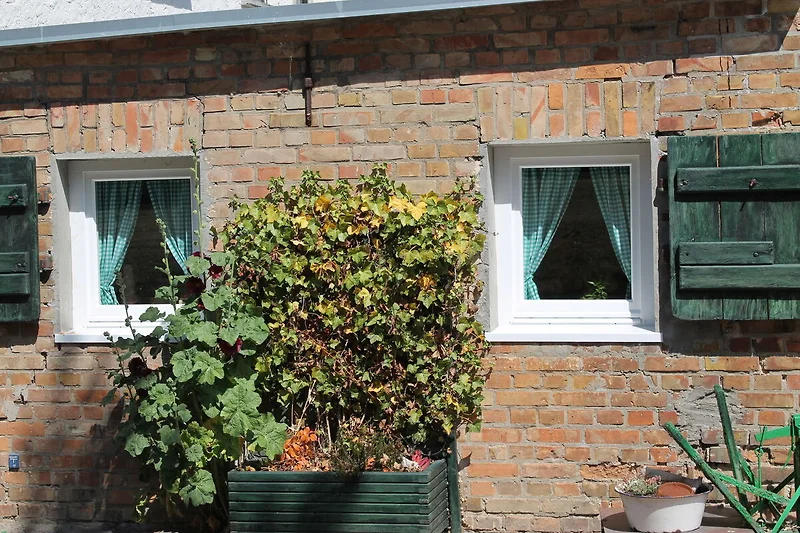 Esterno casa vacanze (estate)