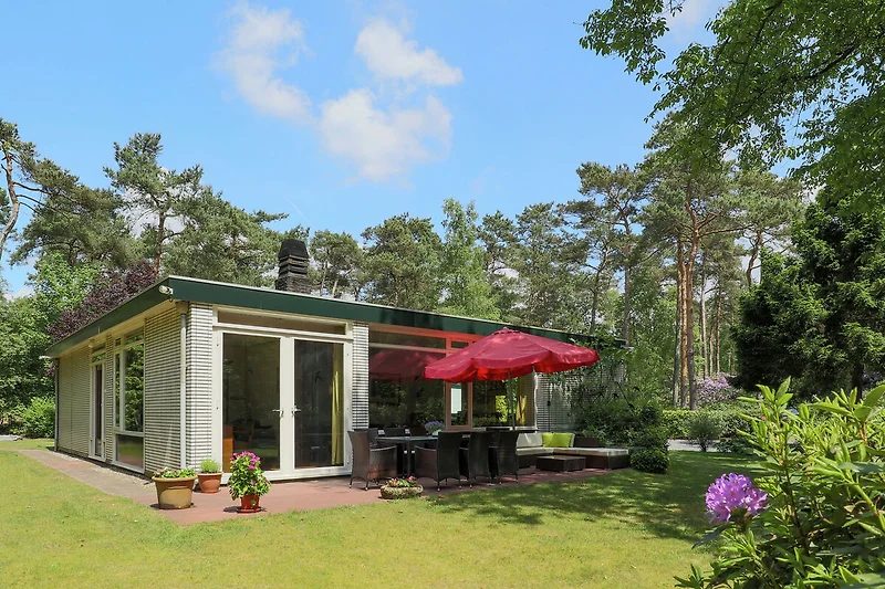 Außenseite Ferienhaus (Sommer)
