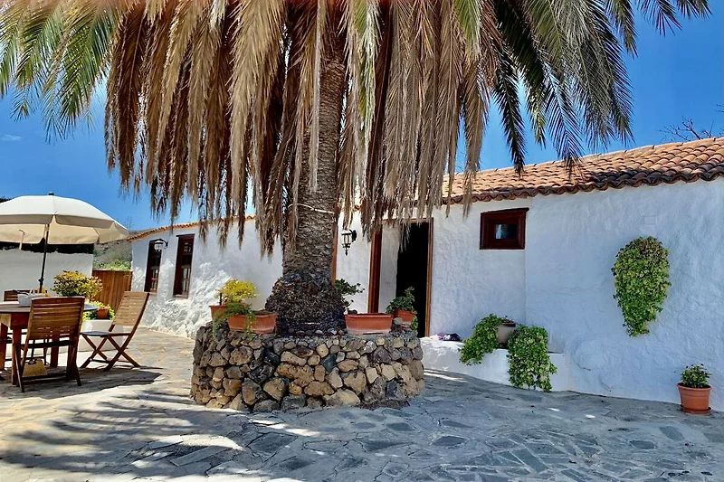 Esterno casa vacanze (estate)