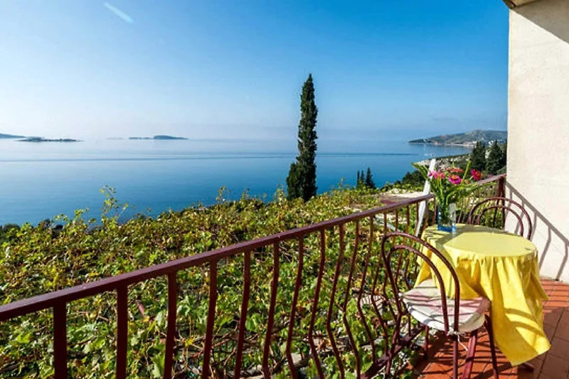 Terrasse / Balkon