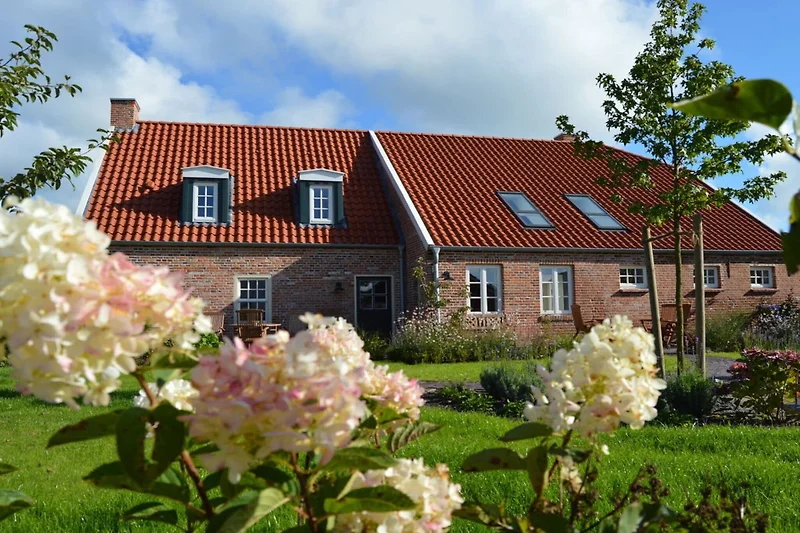 Exterieur vakantiehuis (zomer)