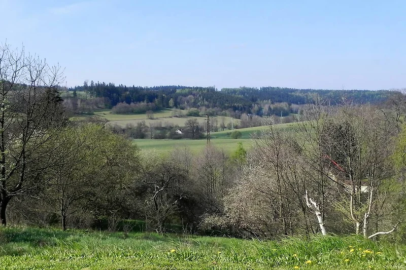 Dintorni (estate) (1-5 km)