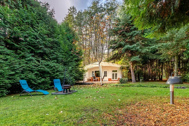 Außenseite Ferienhaus (Sommer)