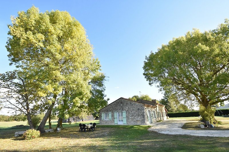 Außenseite Ferienhaus (Sommer)