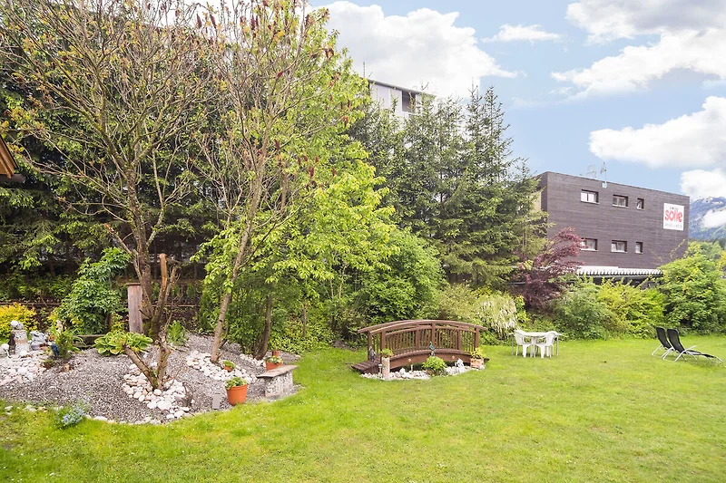 Tuin (zomer)
