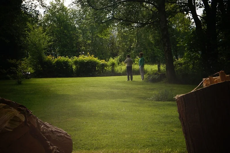 Tuin (zomer)
