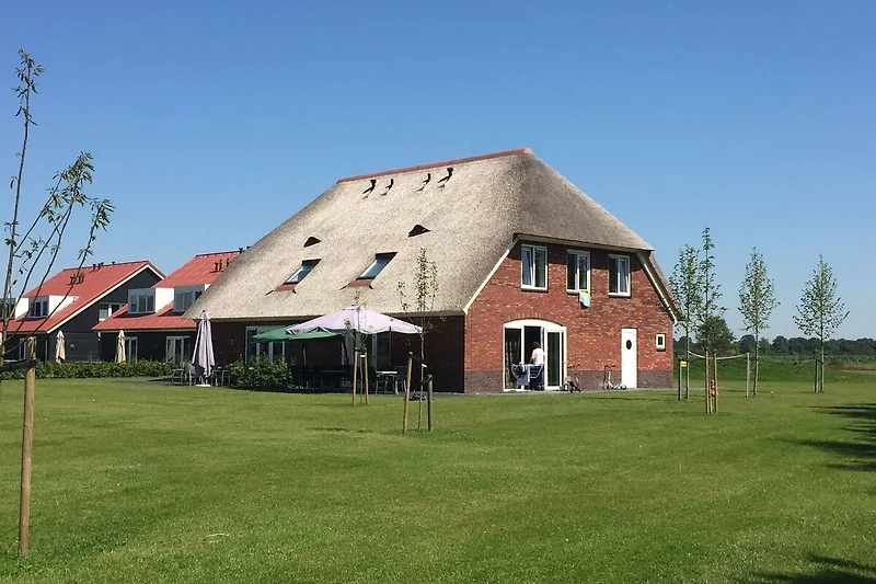 Exterieur vakantiehuis (zomer)