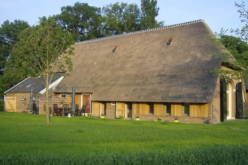 Exterieur vakantiehuis (zomer)
