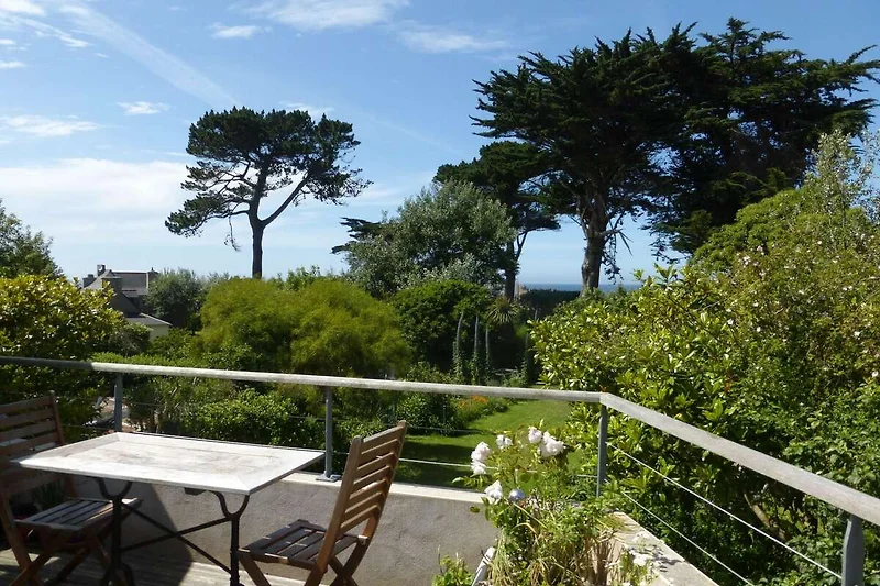Aussicht vom Ferienhaus (Sommer)