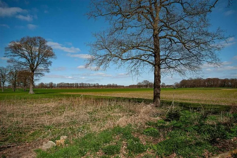 In der Region (Sommer) (>5 km)