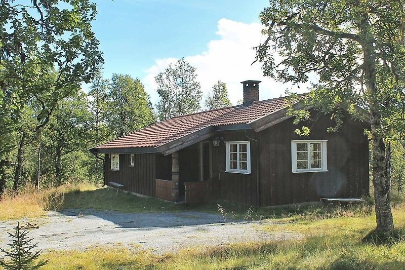 Außenseite