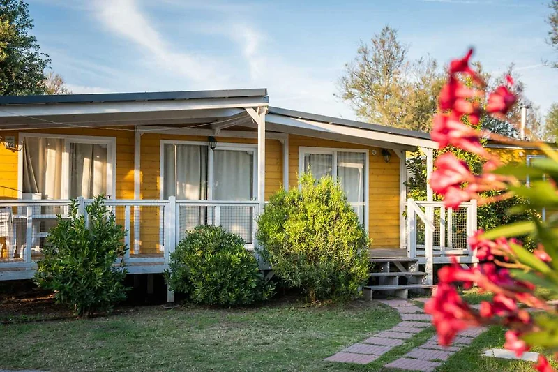 Esterno casa vacanze (estate)