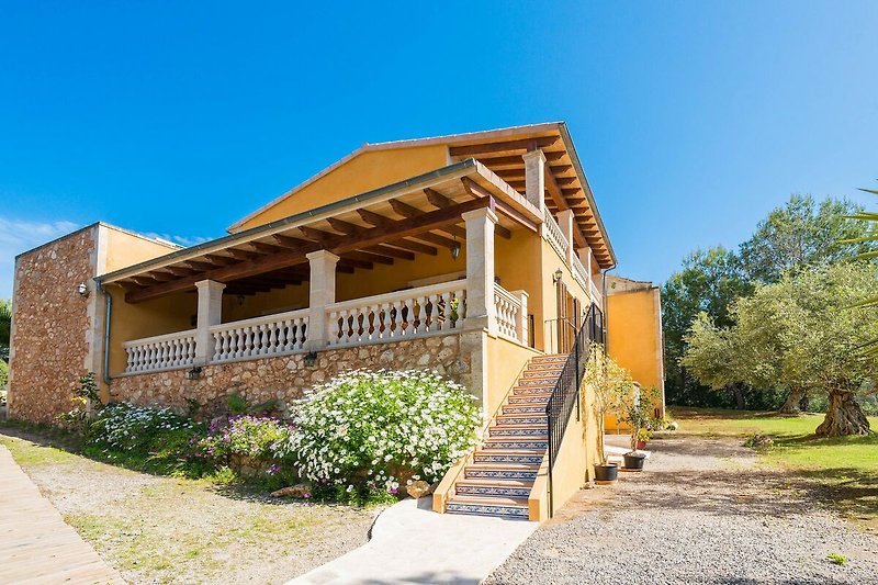 Exterieur vakantiehuis (zomer)