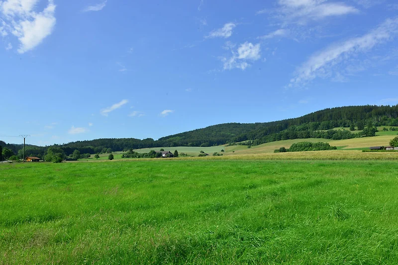 Aussicht vom Ferienhaus (Sommer)