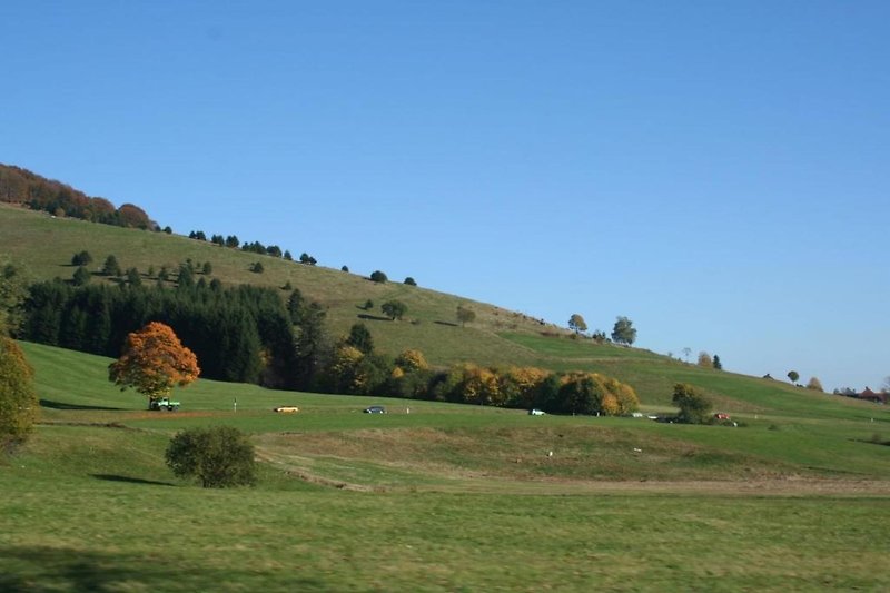 In de regio (zomer) (>5 km)