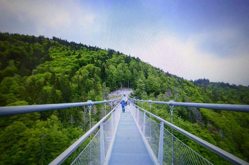 In der Region (Sommer) (>5 km)